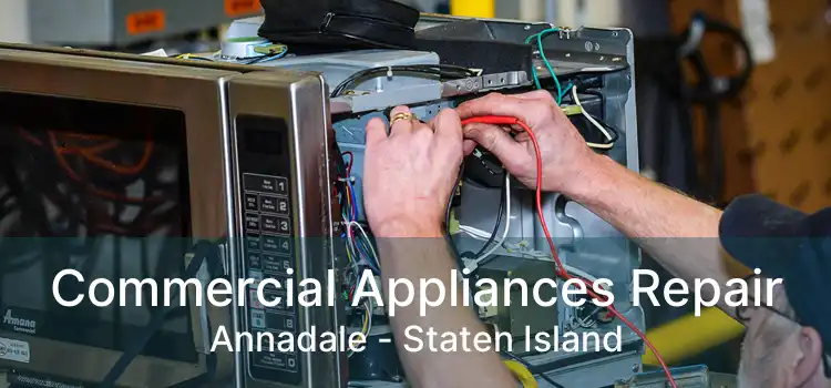 Commercial Appliances Repair Annadale - Staten Island