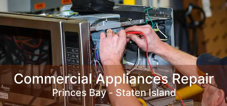 Commercial Appliances Repair Princes Bay - Staten Island