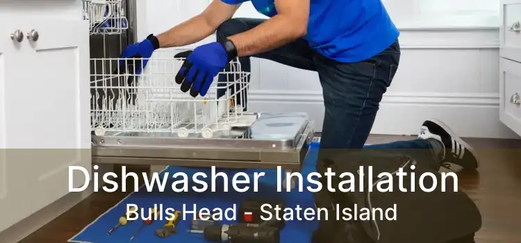 Dishwasher Installation Bulls Head - Staten Island