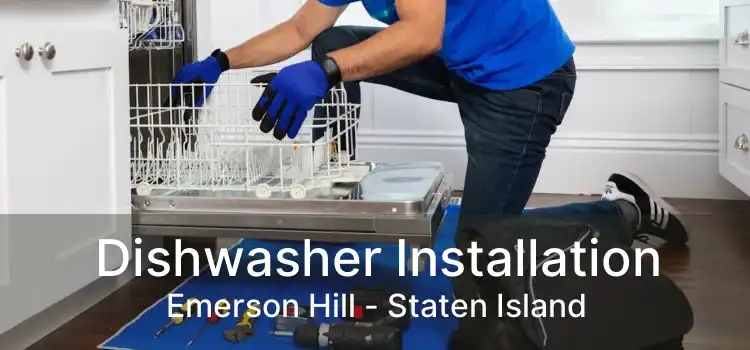 Dishwasher Installation Emerson Hill - Staten Island