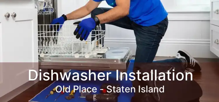 Dishwasher Installation Old Place - Staten Island