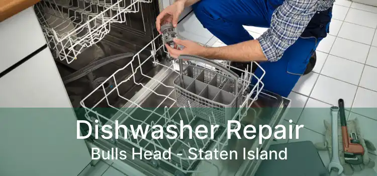 Dishwasher Repair Bulls Head - Staten Island