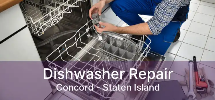 Dishwasher Repair Concord - Staten Island