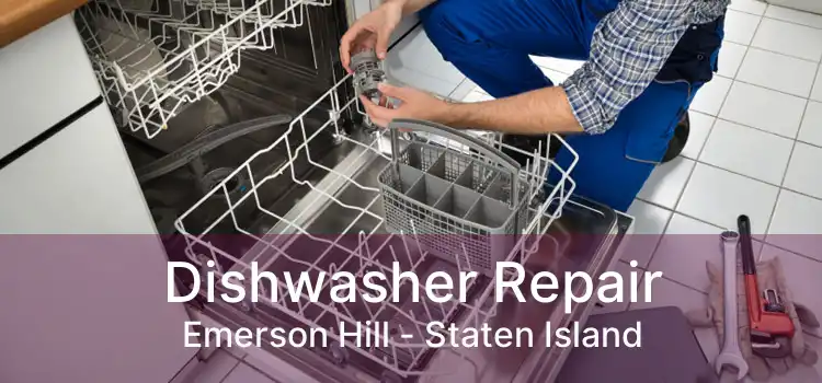 Dishwasher Repair Emerson Hill - Staten Island