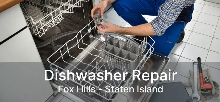 Dishwasher Repair Fox Hills - Staten Island