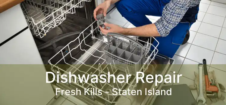 Dishwasher Repair Fresh Kills - Staten Island