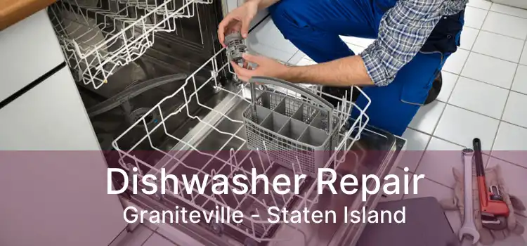 Dishwasher Repair Graniteville - Staten Island