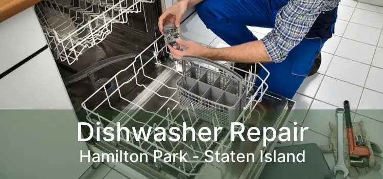 Dishwasher Repair Hamilton Park - Staten Island