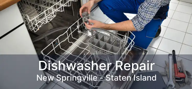 Dishwasher Repair New Springville - Staten Island