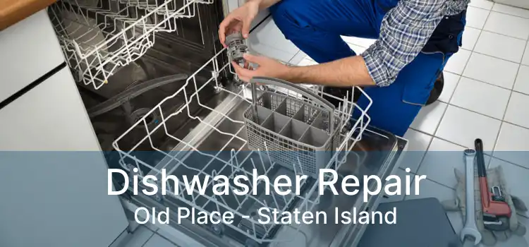 Dishwasher Repair Old Place - Staten Island