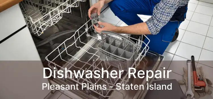 Dishwasher Repair Pleasant Plains - Staten Island