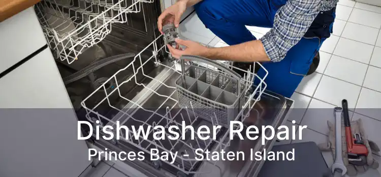 Dishwasher Repair Princes Bay - Staten Island