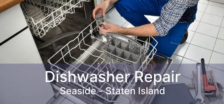 Dishwasher Repair Seaside - Staten Island