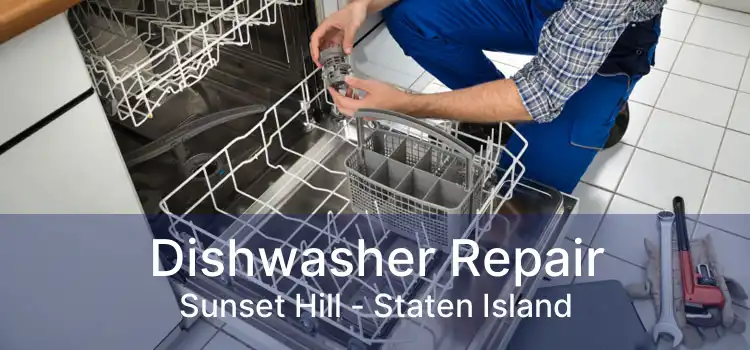 Dishwasher Repair Sunset Hill - Staten Island