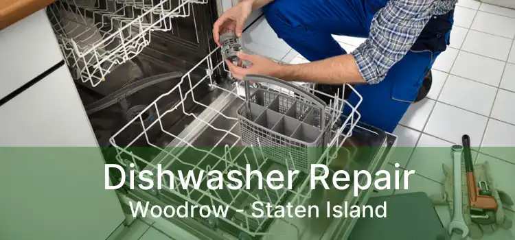 Dishwasher Repair Woodrow - Staten Island