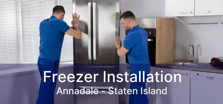 Freezer Installation Annadale - Staten Island