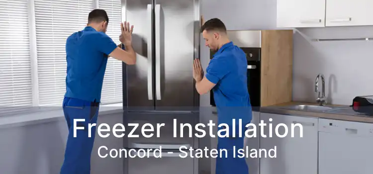 Freezer Installation Concord - Staten Island