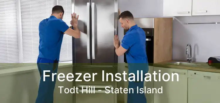 Freezer Installation Todt Hill - Staten Island