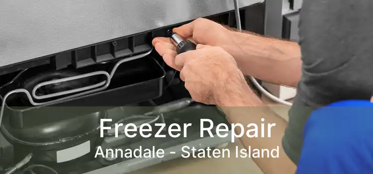 Freezer Repair Annadale - Staten Island