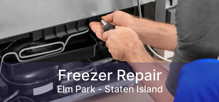 Freezer Repair Elm Park - Staten Island