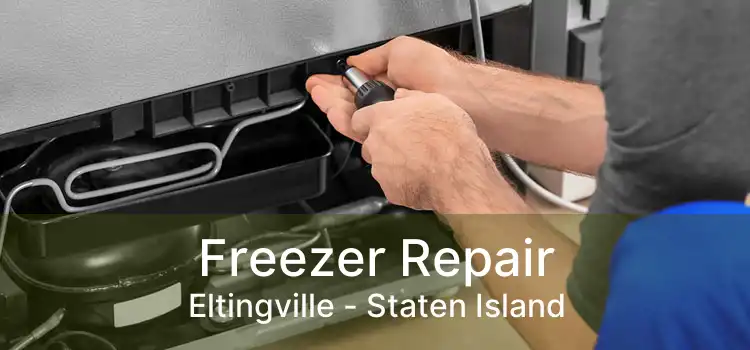 Freezer Repair Eltingville - Staten Island