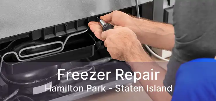 Freezer Repair Hamilton Park - Staten Island