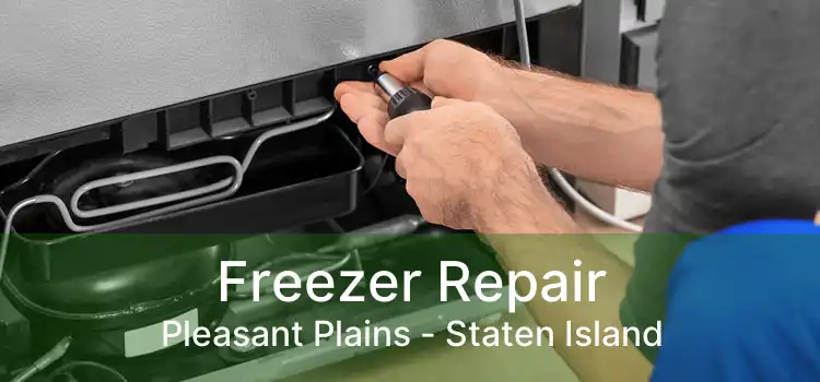 Freezer Repair Pleasant Plains - Staten Island