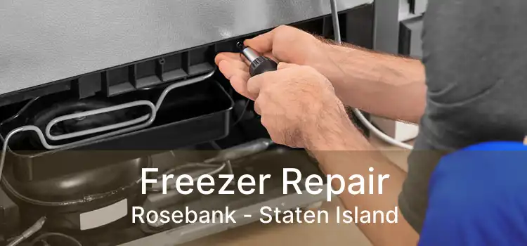 Freezer Repair Rosebank - Staten Island