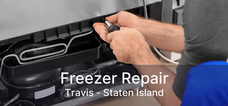 Freezer Repair Travis - Staten Island