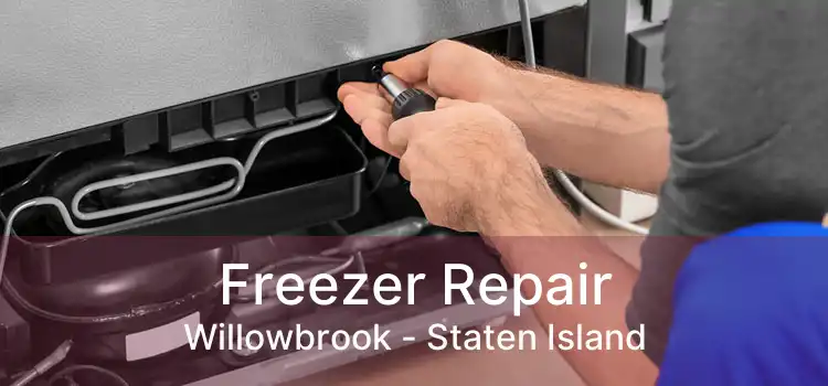 Freezer Repair Willowbrook - Staten Island