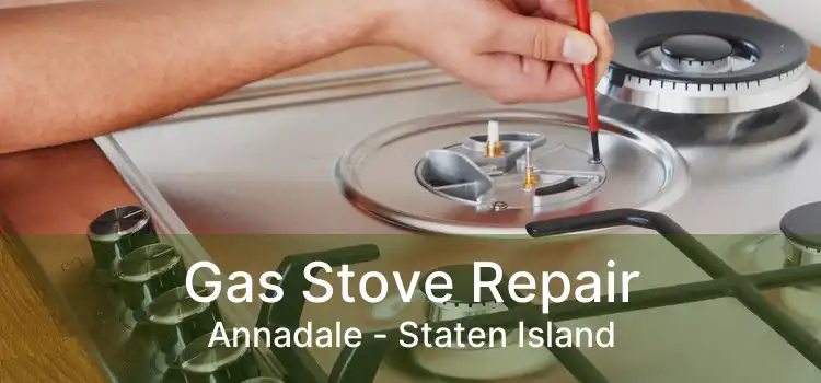 Gas Stove Repair Annadale - Staten Island