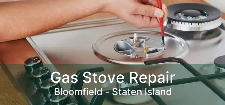 Gas Stove Repair Bloomfield - Staten Island