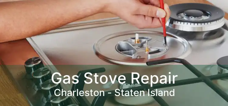 Gas Stove Repair Charleston - Staten Island