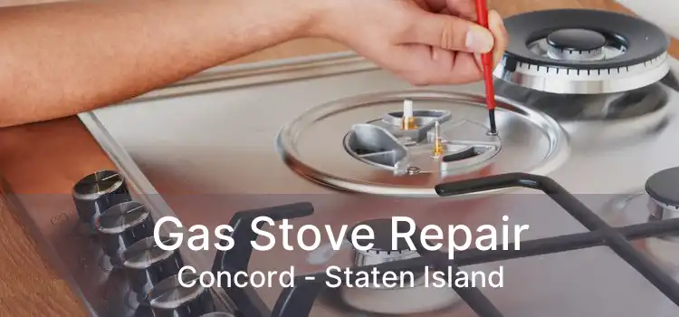 Gas Stove Repair Concord - Staten Island