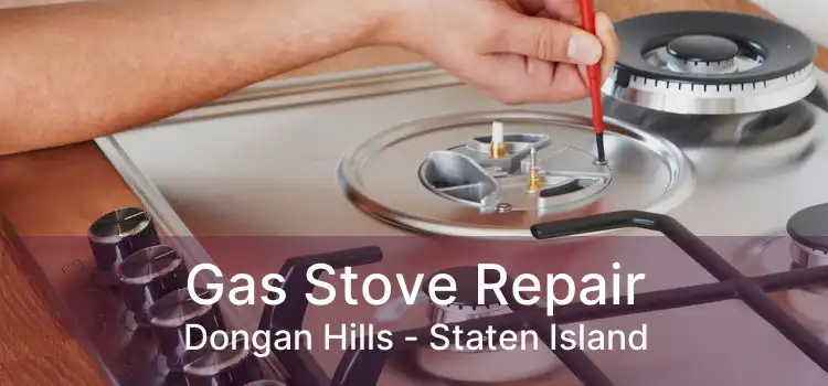 Gas Stove Repair Dongan Hills - Staten Island