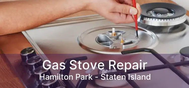 Gas Stove Repair Hamilton Park - Staten Island