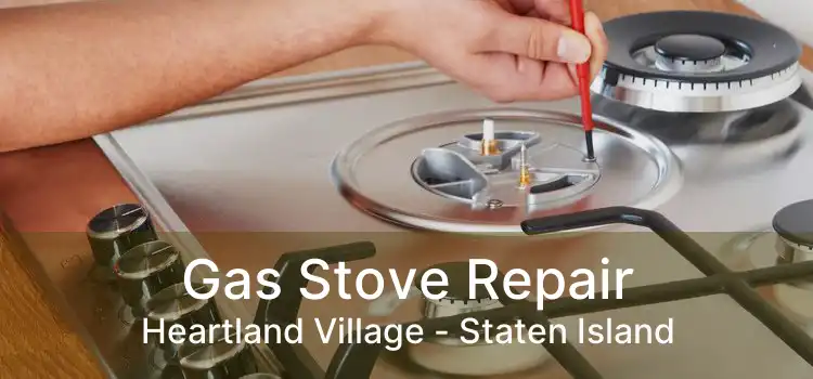 Gas Stove Repair Heartland Village - Staten Island