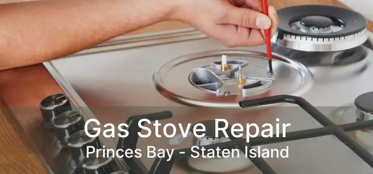 Gas Stove Repair Princes Bay - Staten Island