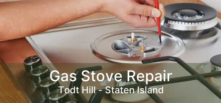 Gas Stove Repair Todt Hill - Staten Island