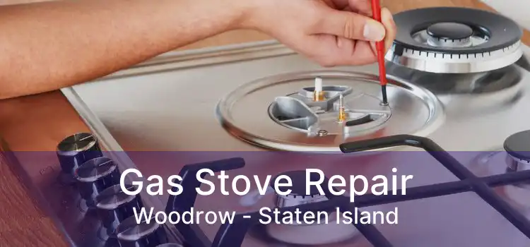 Gas Stove Repair Woodrow - Staten Island