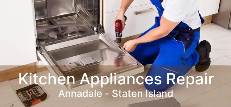 Kitchen Appliances Repair Annadale - Staten Island