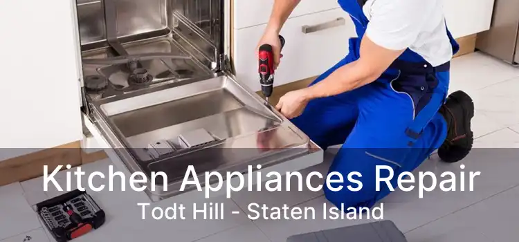 Kitchen Appliances Repair Todt Hill - Staten Island