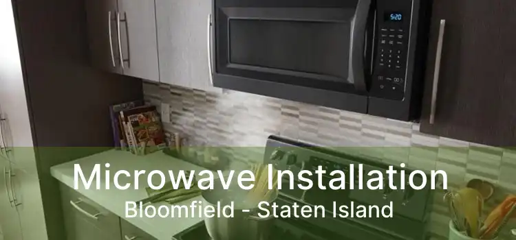 Microwave Installation Bloomfield - Staten Island