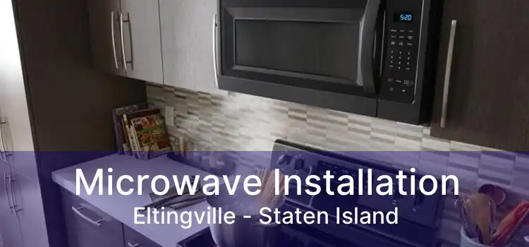 Microwave Installation Eltingville - Staten Island