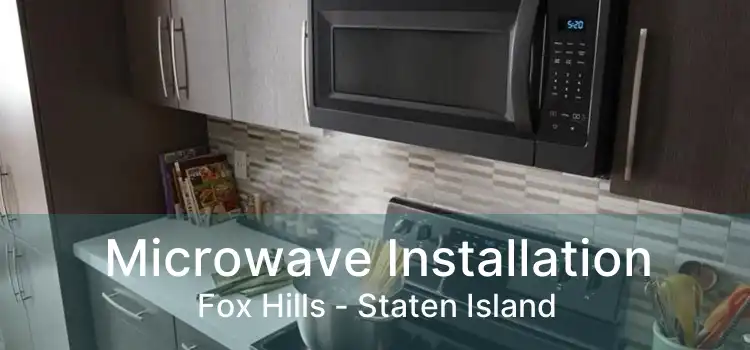 Microwave Installation Fox Hills - Staten Island