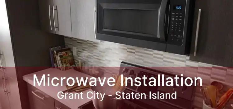 Microwave Installation Grant City - Staten Island