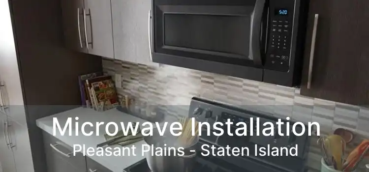 Microwave Installation Pleasant Plains - Staten Island