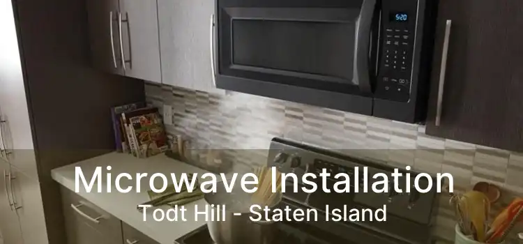 Microwave Installation Todt Hill - Staten Island