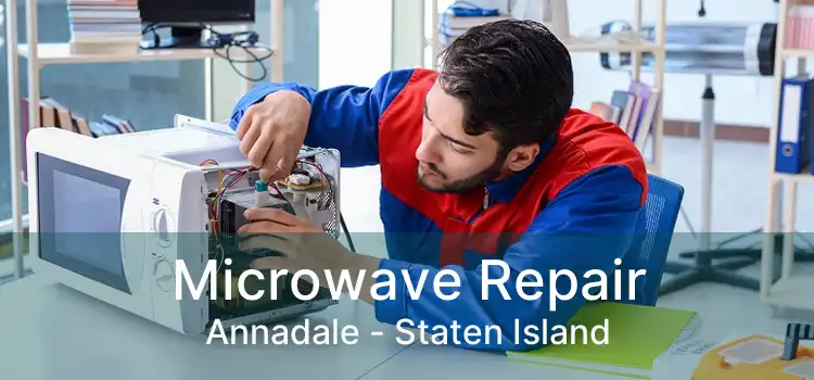 Microwave Repair Annadale - Staten Island