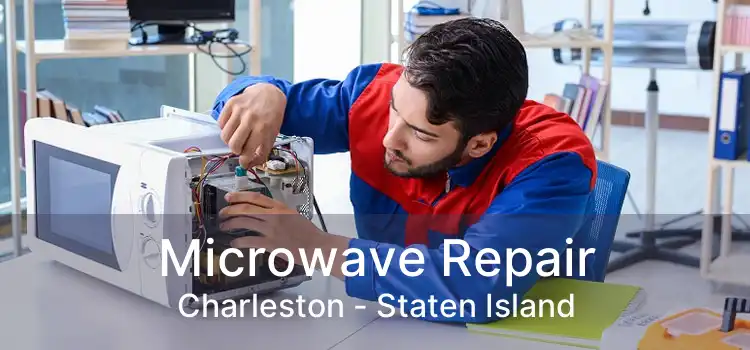 Microwave Repair Charleston - Staten Island